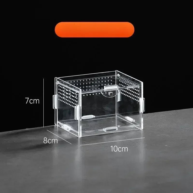 Acrylic Reptile Terrarium – Nano Arboreal Enclosure for Spiders and Insects