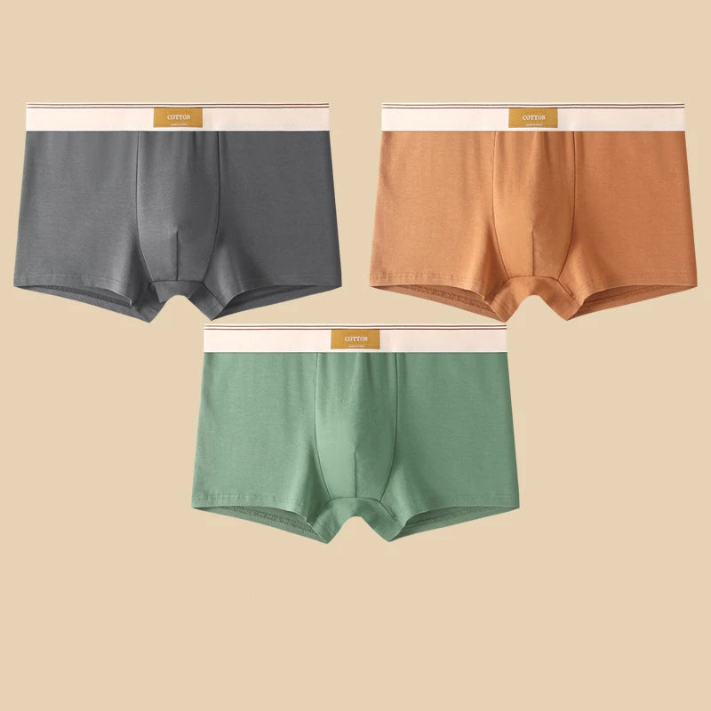 Cotton Boxer Briefs – Breathable Men’s Underwear for Everyday Comfort