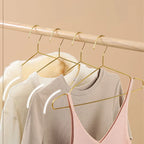 Gold Stainless Steel Coat Hangers – Durable Metal Closet Organizers for Home