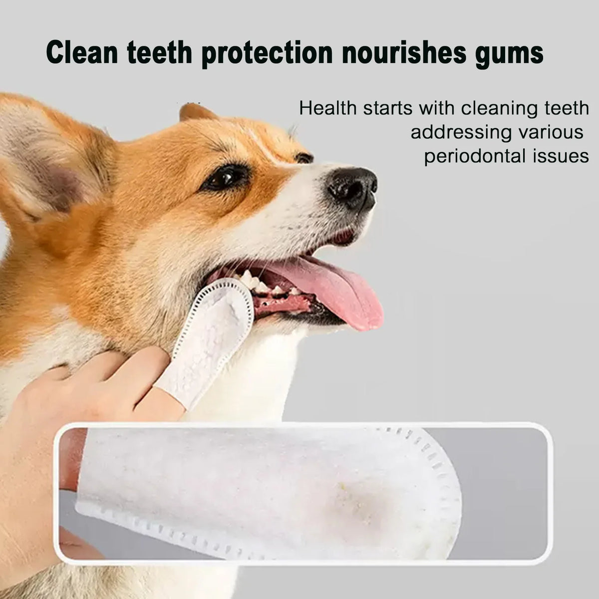 Dental Finger Wipes – Plaque Control for Dog and Cat Oral Hygiene
