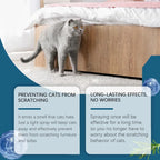 Indoor Cat Repellent Spray – Natural Deterrent for Protecting Home Furniture