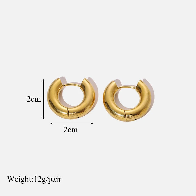 316L Stainless Steel Waterproof Earrings – Minimalist Jewelry for Vacation