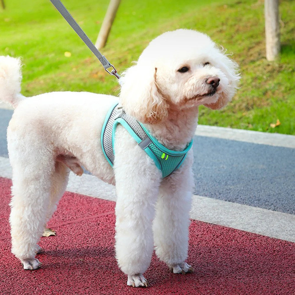 Reflective Breathable Pet Harness – Adjustable Vest for Small Medium Dogs