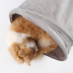 Collapsible S-Shape Cat Tunnel – Grey Suede Crinkle Toy for Indoor Pets