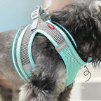 Adjustable Puppy Harness Vest – Comfortable Pet Supplies for Small Dogs