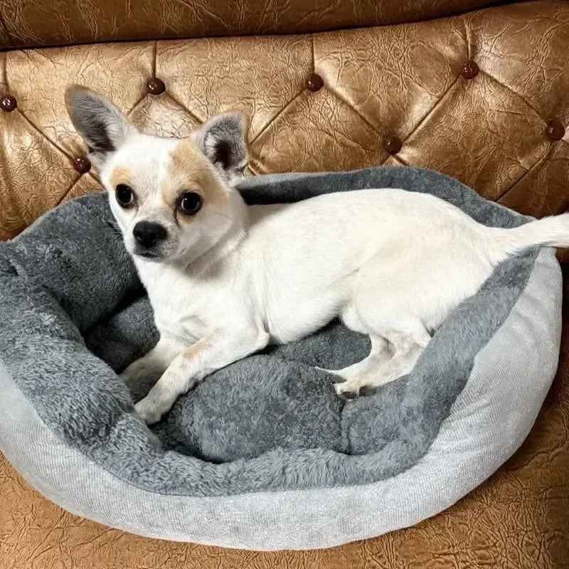 Soft Plush Orthopedic Dog Bed – Warm Sofa Cushion for Medium Large Pets