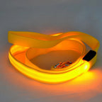 LED Flashing Dog Leash – Luminous Safety Rope for Night Walking