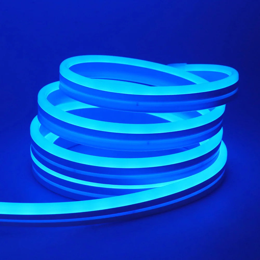 Bluetooth LED RGB Neon Strip – Waterproof Flexible Lights for Outdoor Pool Decor