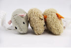 Interactive Plush Mouse Cat Toys – Bite Resistant Scratch Mice for Kittens