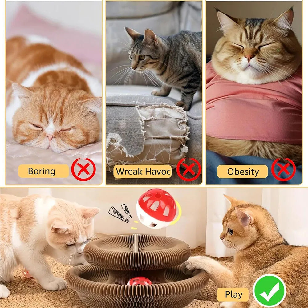 Magic Organ Cat Scratcher – Interactive Accordion Toy for Claw Sharpening