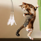 Feather Cat Teaser Wand – Suction Cup Interactive Toy for Indoor Exercise