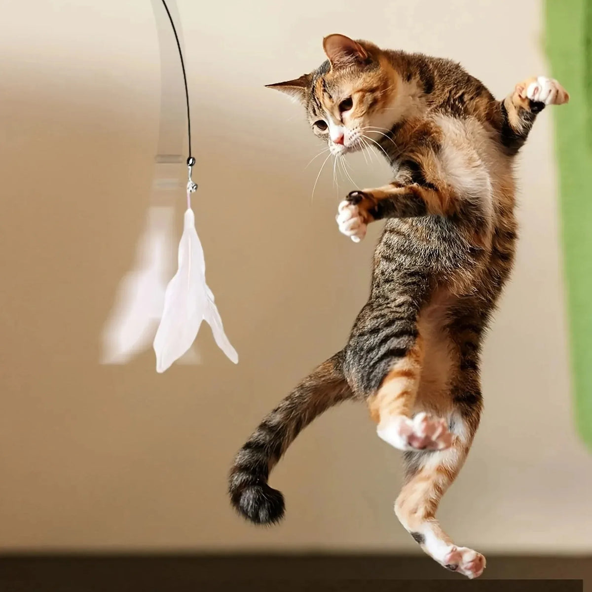 Feather Cat Teaser Wand – Suction Cup Interactive Toy for Indoor Exercise