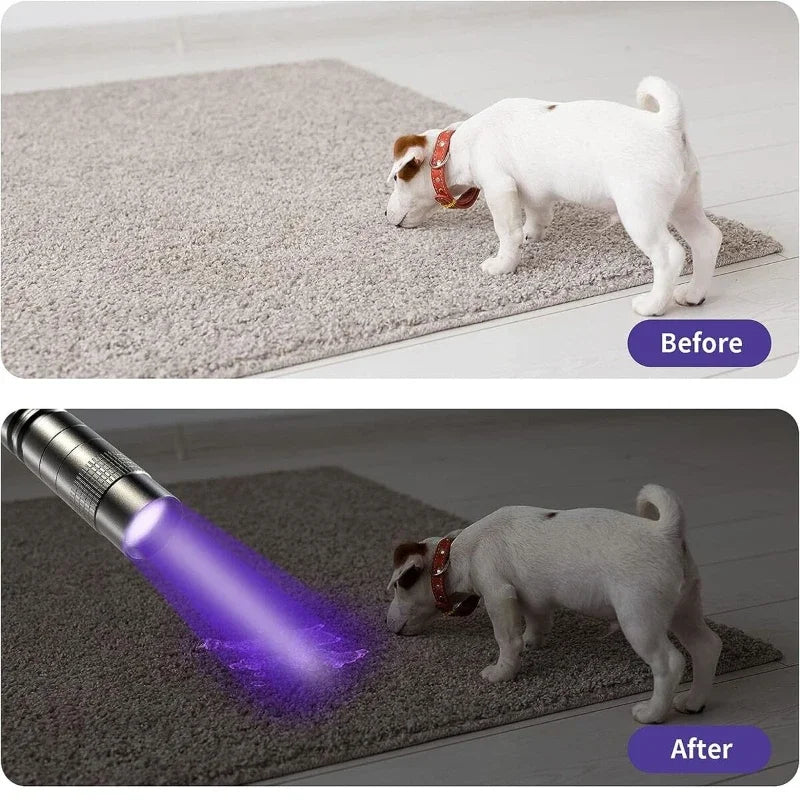 UV Flashlight 395nm – Portable Ultraviolet Torch for Pet Urine and Scorpion Detection