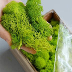 Artificial Moss Grass – 200g Green Fake Plant for DIY Garden Home Decor