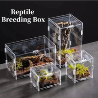 Acrylic Reptile Terrarium – Nano Arboreal Enclosure for Spiders and Insects