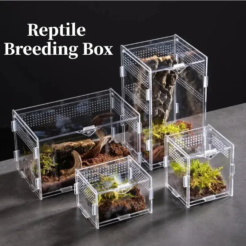 Acrylic Reptile Terrarium – Nano Arboreal Enclosure for Spiders and Insects