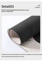 Absorbent Bathroom Floor Mat – Anti-Slip Quick Dry Rug for Home Entrance