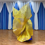 Dancer performing indoors with large golden winged dance costume, blue and white curtains background