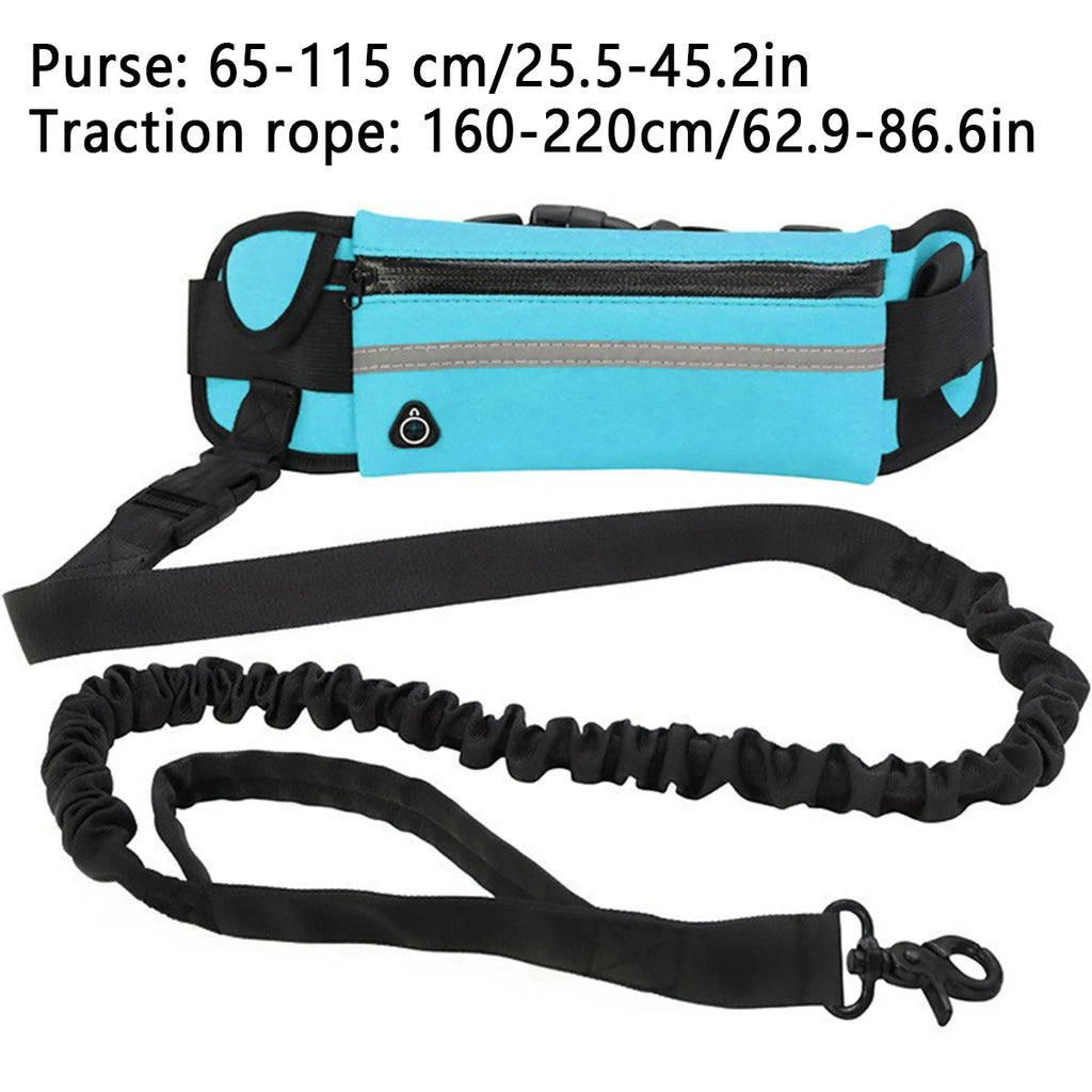 Hands-Free Dog Running Leash – Reflective Elastic Waist Belt for Outdoor Exercise