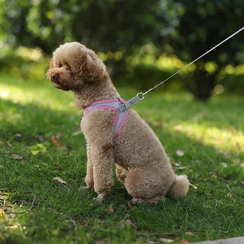 Adjustable Puppy Harness Vest – Comfortable Pet Supplies for Small Dogs