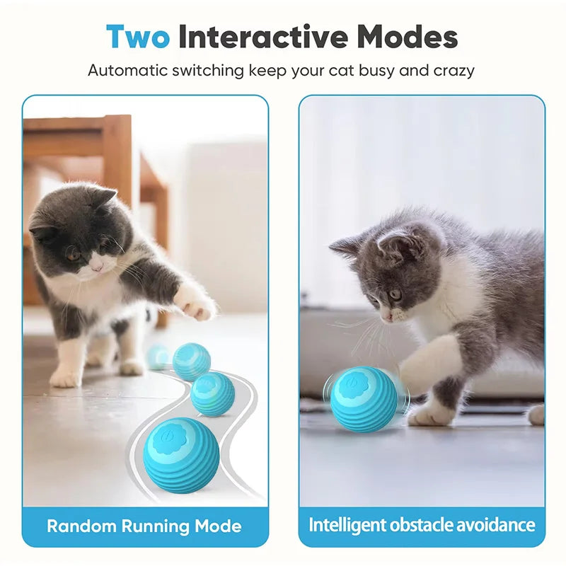 Interactive Automatic Cat Ball – Smart Motion Sensor Toy for Indoor Pet Play