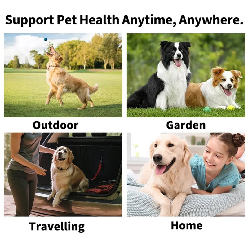 Disposable Finger Toothbrushes – Oral Cleaning Wipes for Dogs and Cats