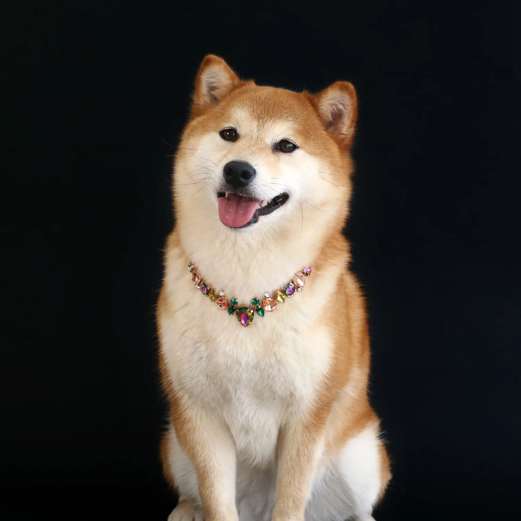 Rhinestone Pearl Pet Collar – Jeweled Dog and Cat Necklace for Weddings