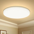 Modern LED Ceiling Light – Round Decorative Fixture for Home Living Spaces