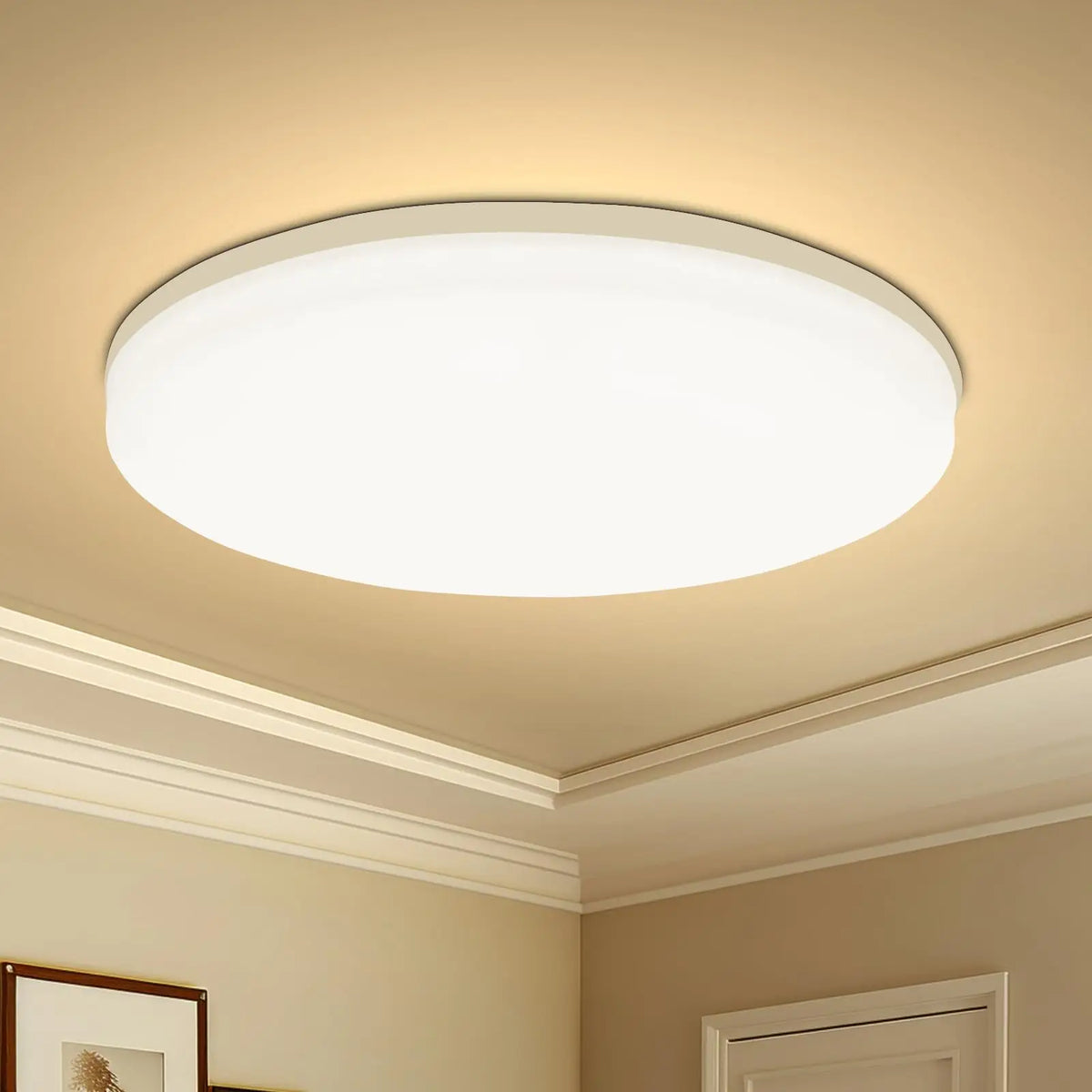 Modern LED Ceiling Light – Round Decorative Fixture for Home Living Spaces