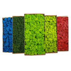 Artificial Moss Grass – 200g Green Fake Plant for DIY Garden Home Decor