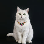 Rhinestone Pearl Pet Collar – Jeweled Dog and Cat Necklace for Weddings