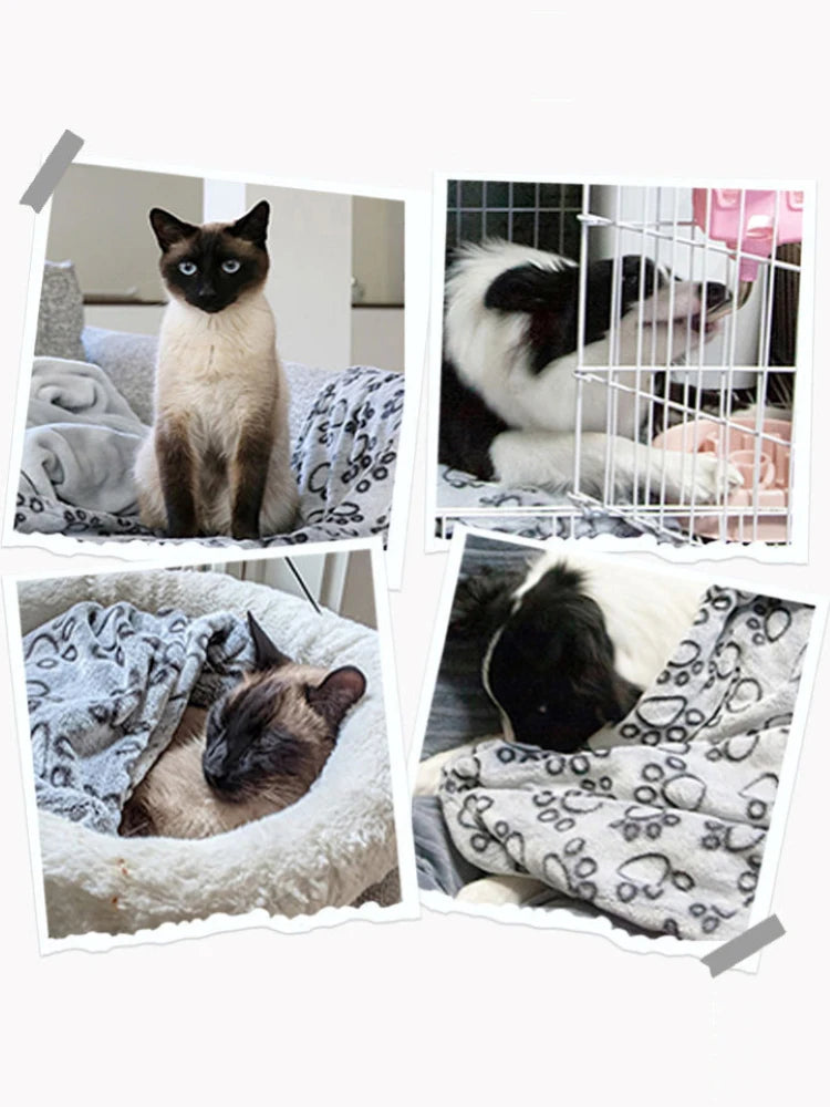 Soft Cartoon Pet Blanket – Fluffy Warm Mat for Cats and Dogs