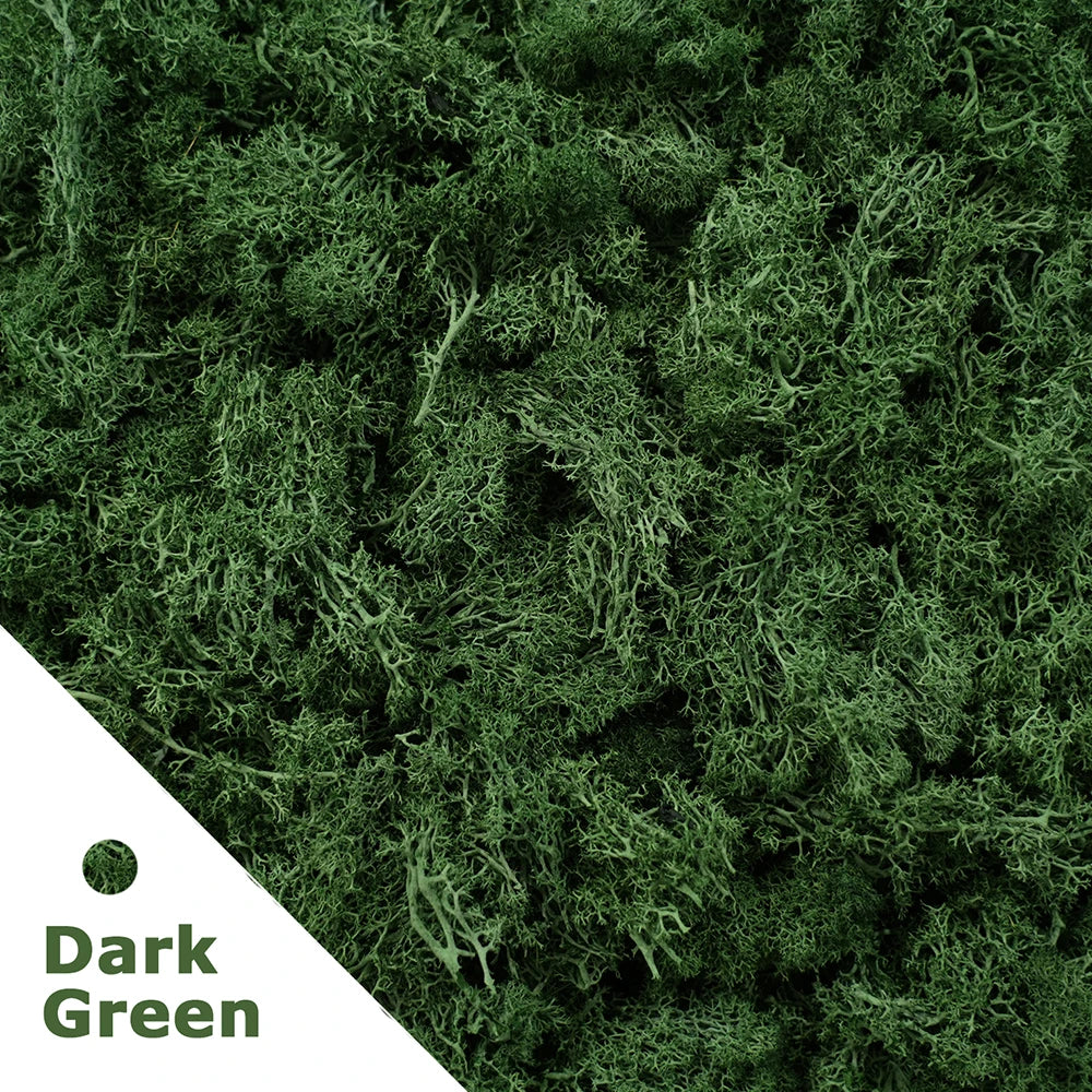 Artificial Moss Grass – 200g Green Fake Plant for DIY Garden Home Decor