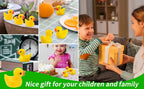 Miniature Resin Duck Figurines – Tiny Animal Charms for Micro Landscapes