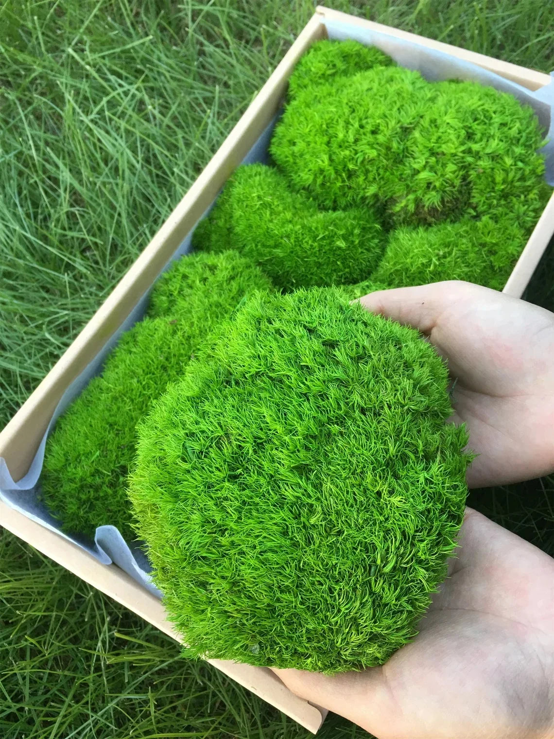 Artificial Moss Grass – 200g Green Fake Plant for DIY Garden Home Decor