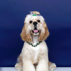 Rhinestone Pearl Pet Collar – Jeweled Dog and Cat Necklace for Weddings