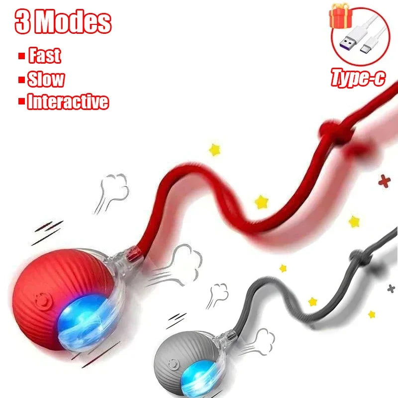 Interactive Rolling Cat Ball – Rechargeable Smart Toy for Pet Training