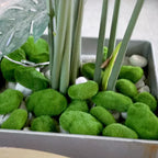Artificial Foam Moss Stones – Decorative Green Rocks for Micro Landscapes