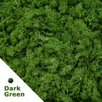 Artificial Moss Grass – 200g Green Fake Plant for DIY Garden Home Decor