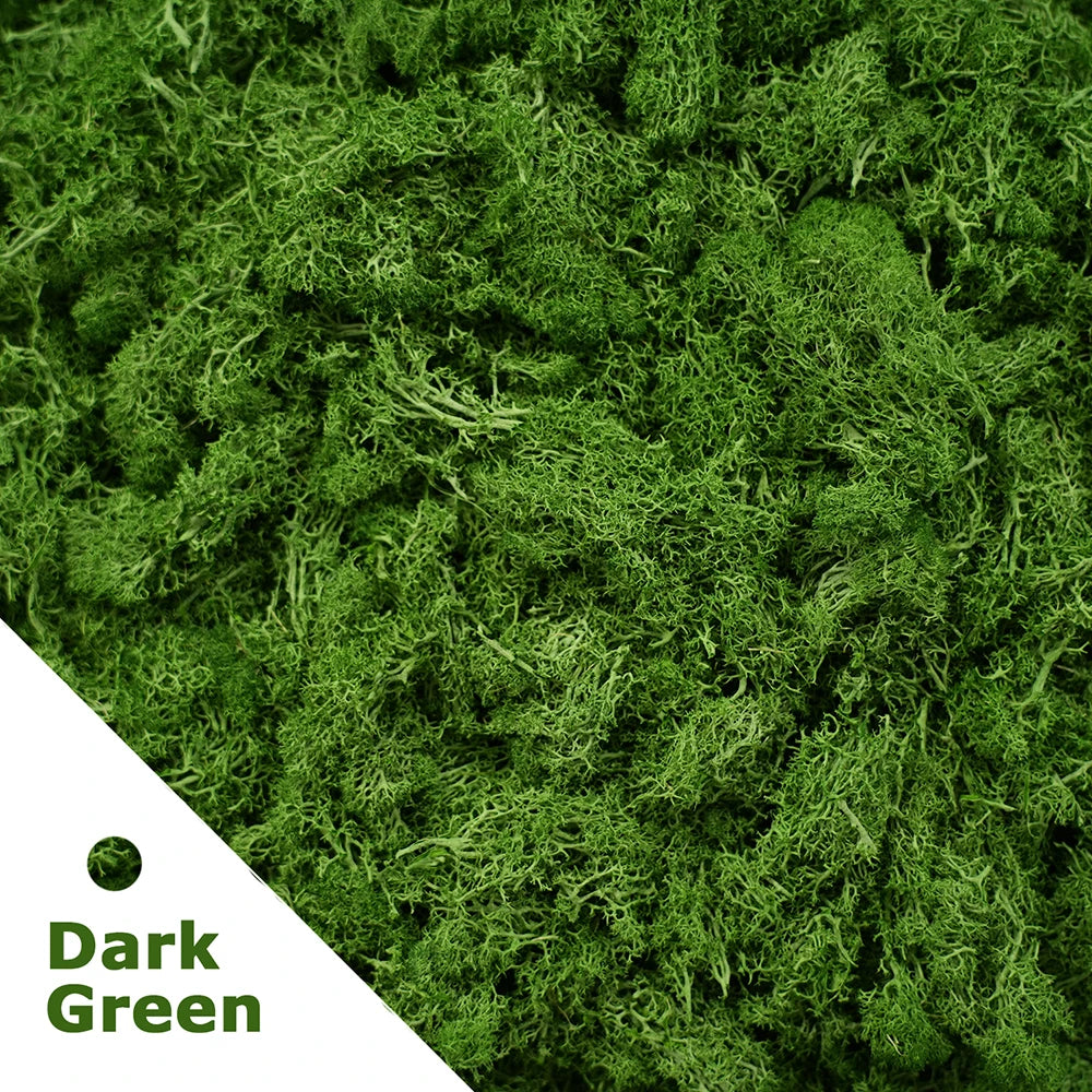 Artificial Moss Grass – 200g Green Fake Plant for DIY Garden Home Decor
