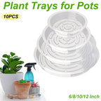 Clear Plastic Plant Drip Trays – Sturdy Round Saucers for Indoor Outdoor Pots