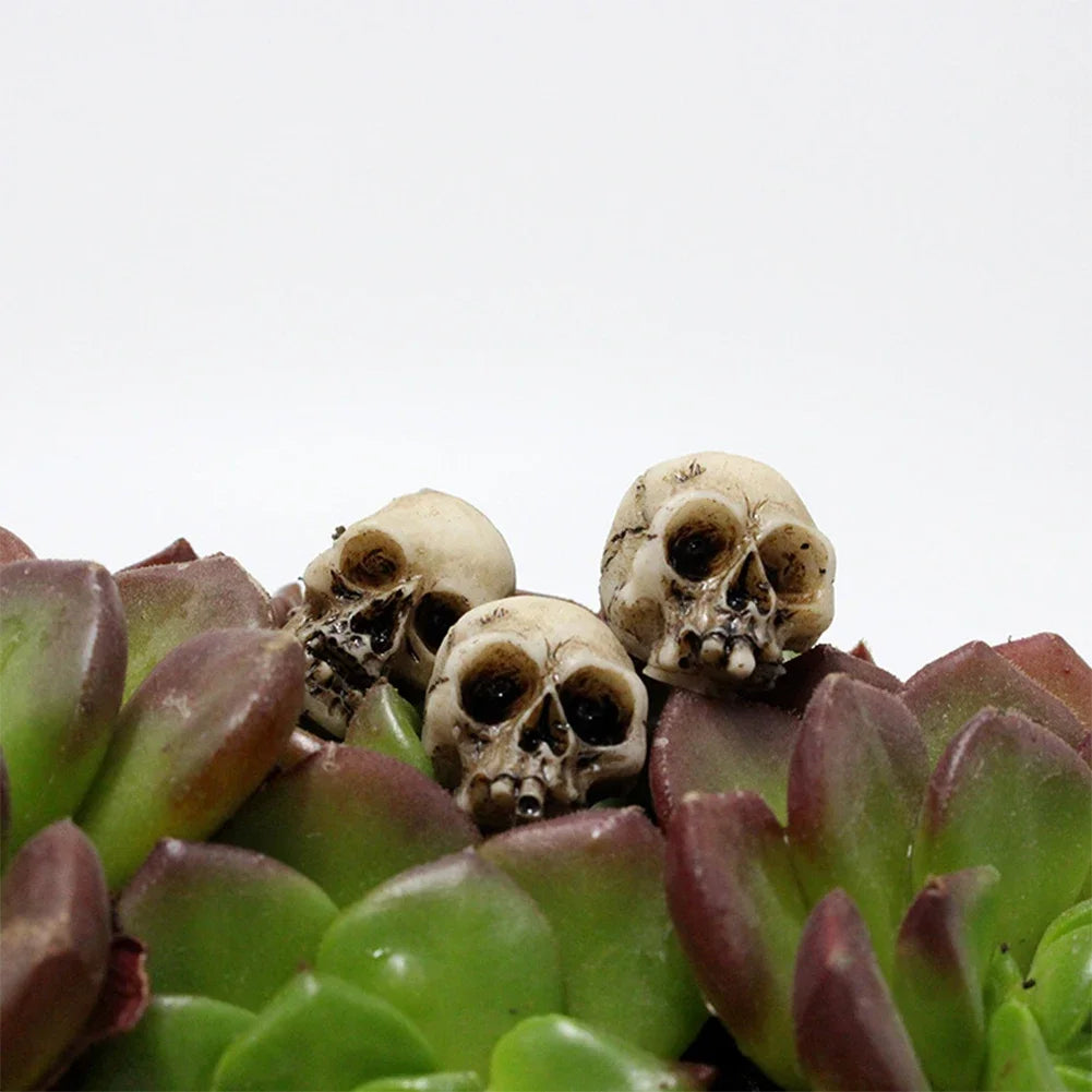 Miniature Skull Head Sculptures – Gothic Resin Decor for Halloween Gardens
