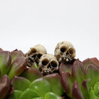 Miniature Skull Head Sculptures – Gothic Resin Decor for Halloween Gardens