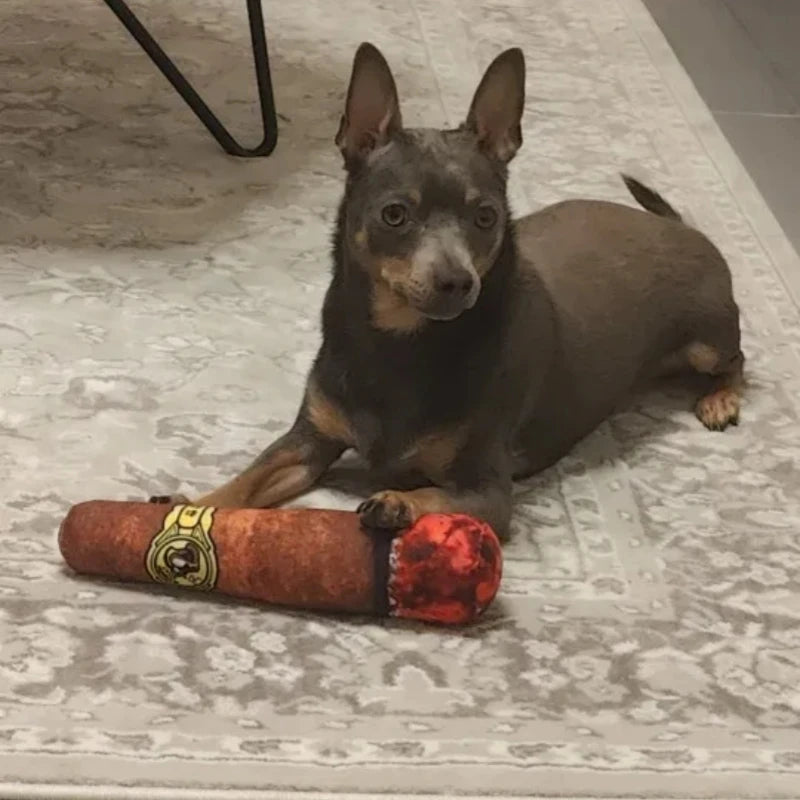 Plush Cigar Dog Toy – Durable Squeaky Chew for Small Breed Puppies