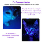 UV LED Keychain Flashlight – Dual 365/395nm Light for Stain and Ink Detection