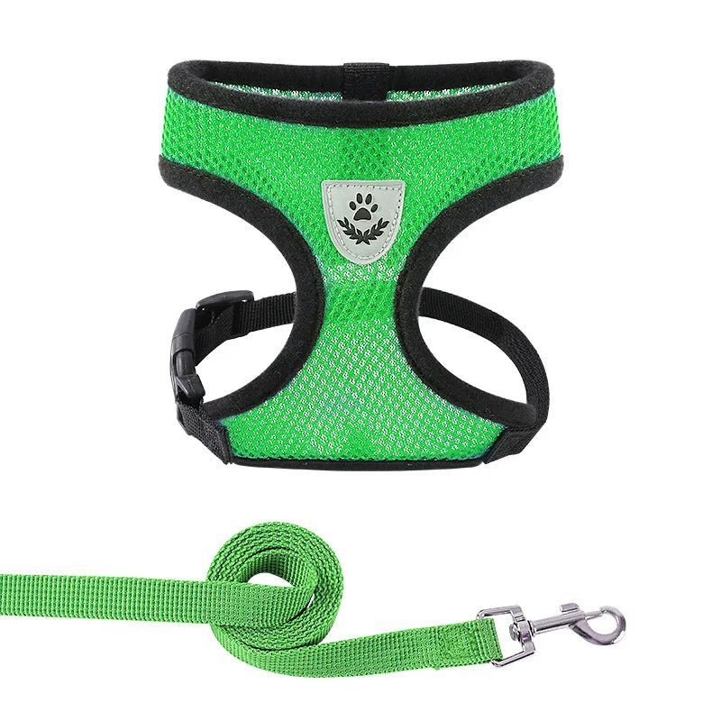 Adjustable Mesh Cat and Dog Harness with Leash – Breathable for Small Pets