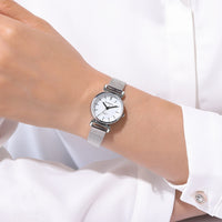 Silver Mesh Quartz Watch – Small Dial Stainless Steel for Women