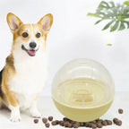 Interactive Treat Dispenser Ball – Slow Feeder for Dog and Cat IQ Training