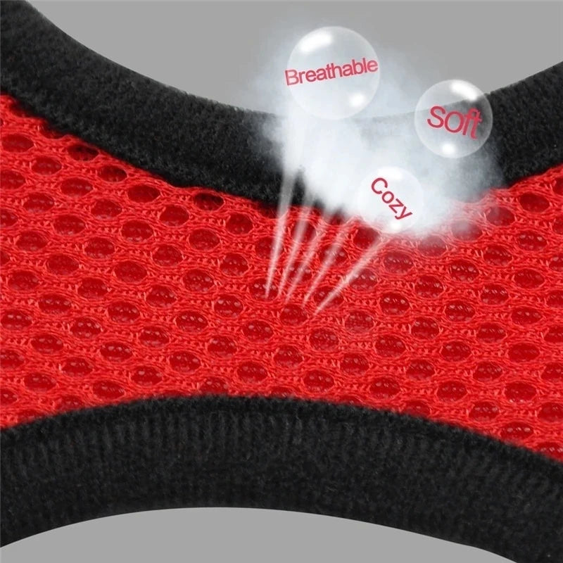 Adjustable Mesh Cat and Dog Harness with Leash – Breathable for Small Pets