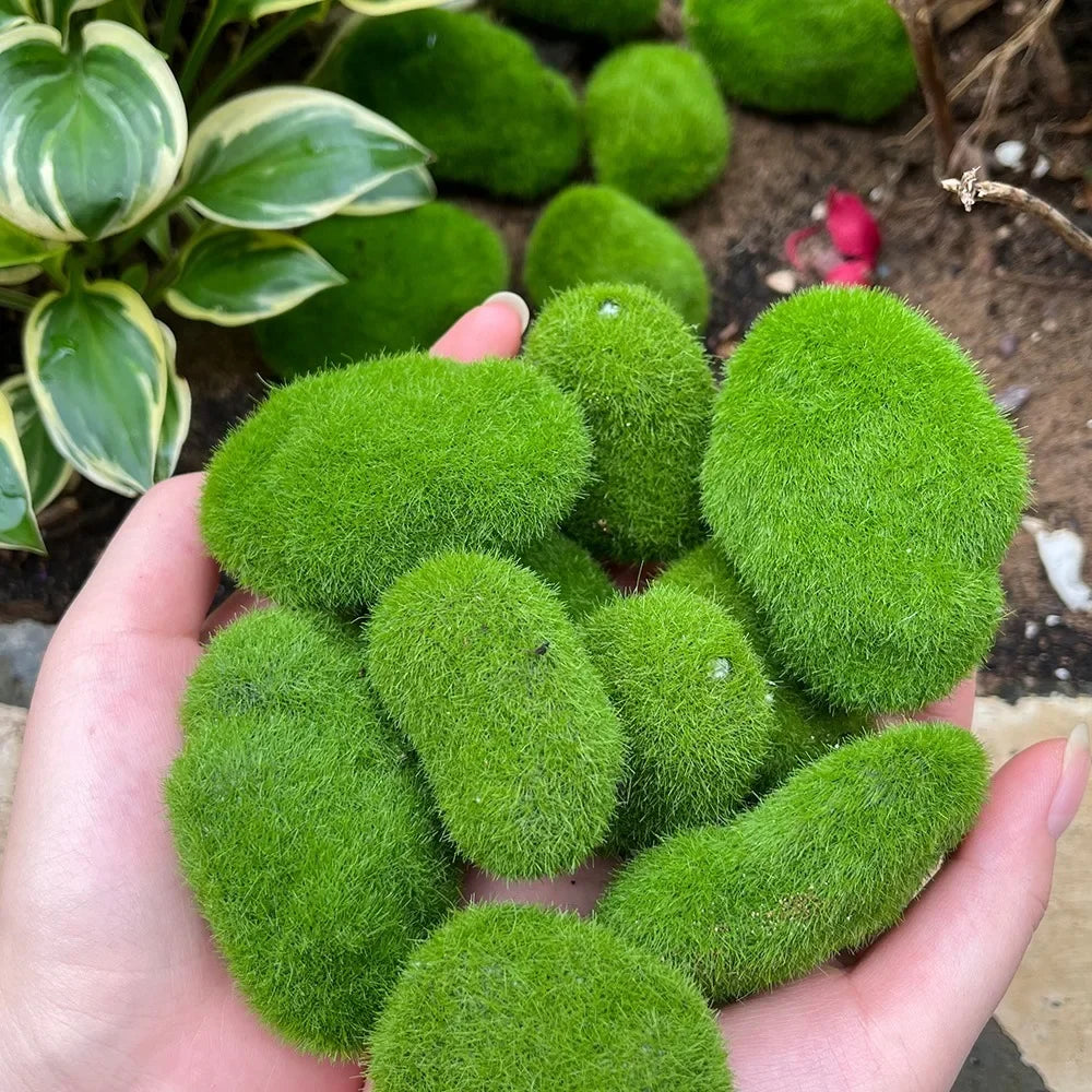 Artificial Foam Moss Stones – Decorative Green Rocks for Micro Landscapes